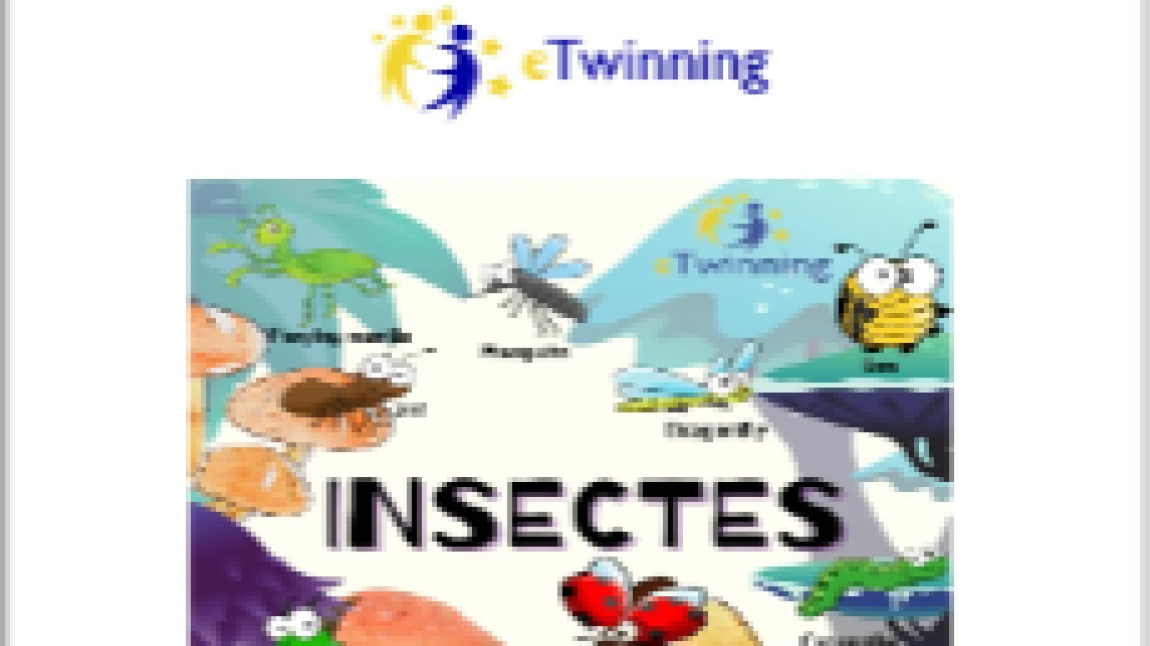 INSECTES ETWİNNİNG PROJECT,Dictionary