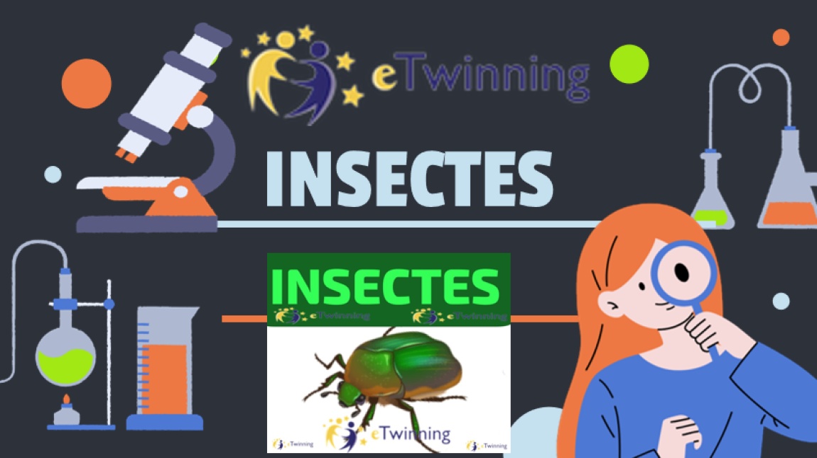 INSECTES ETWİNNİNG PROJECT
