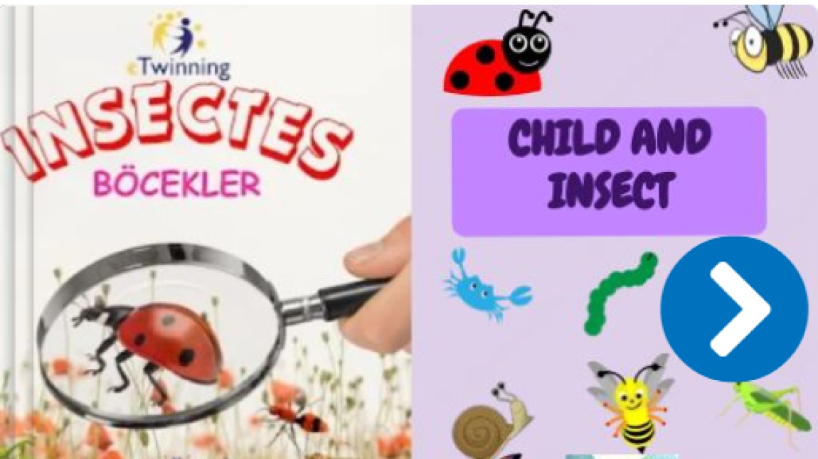 Insects, eTwining project, CHILD AND INSECTS STORY