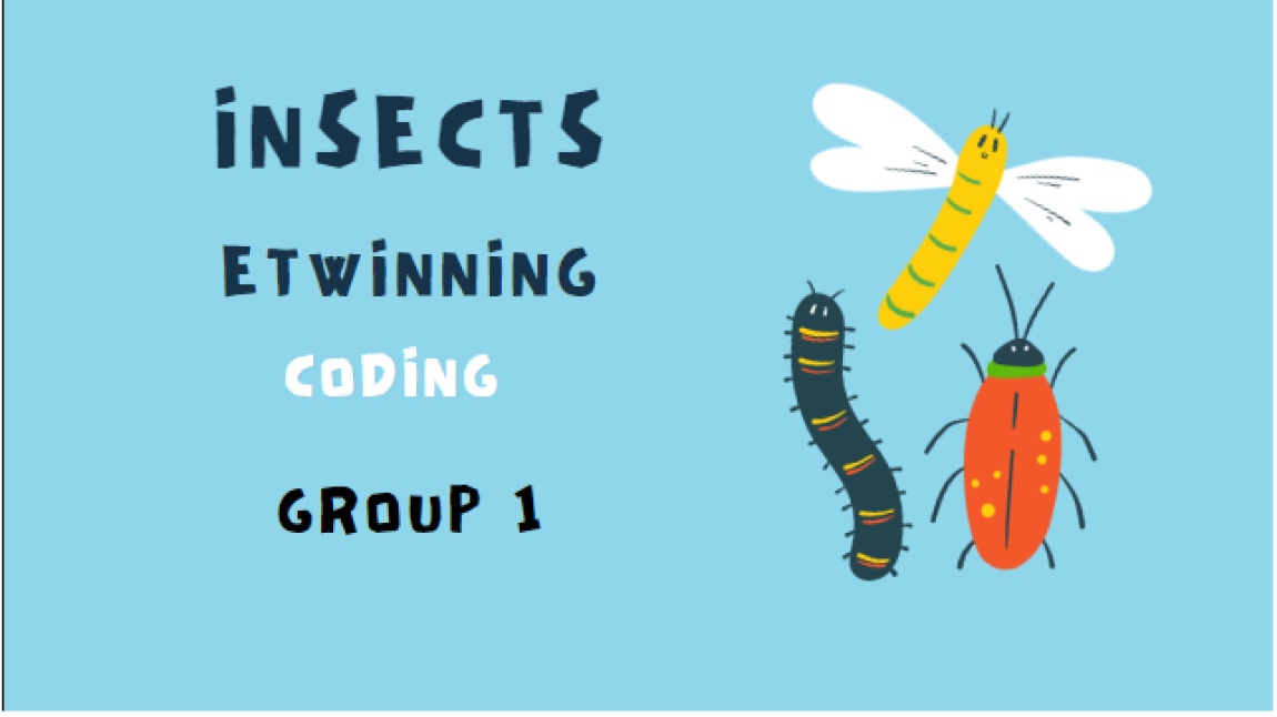 İNSECTS eTwining Coding