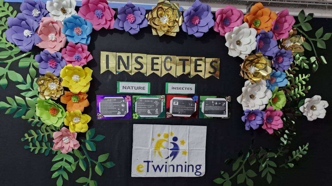 OUR COLLABORATIVE WORK AND STUDENT WEBINAR ON MAY 9 ETWINING DAY/INSECTS ETWİNİNG