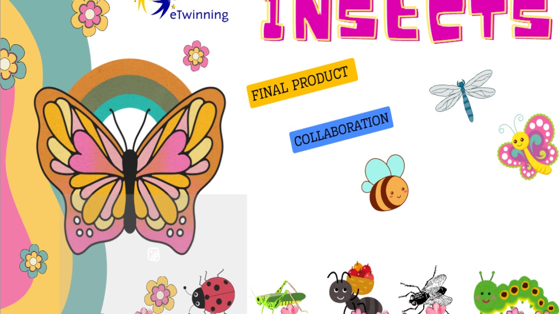 OUR INCECTS ETWINING PROJECT OUR FINAL STUDY OUR INSECT ROBOTS