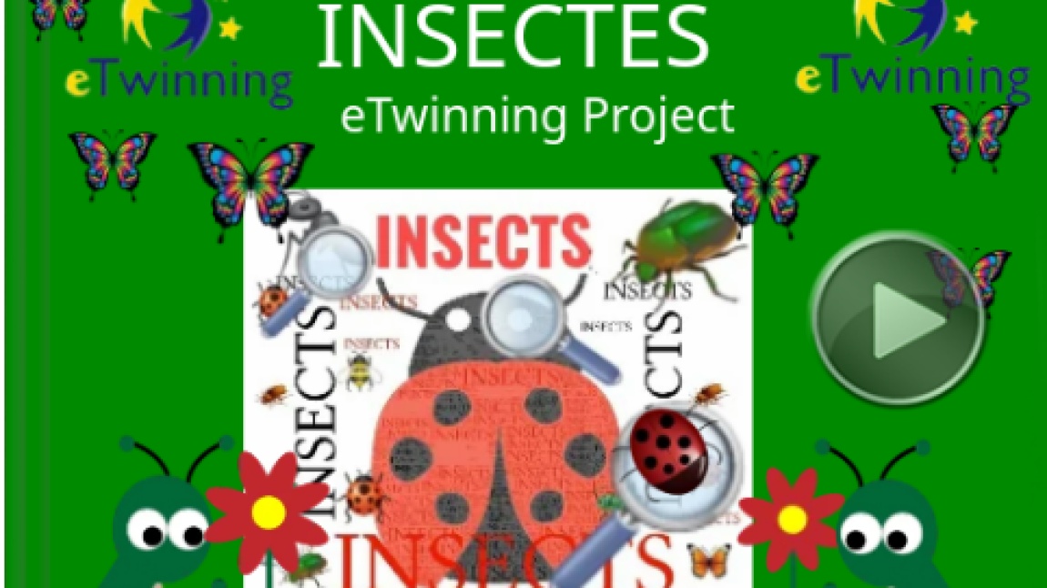 INSECTS PROJECT,ACROSTİC POEM